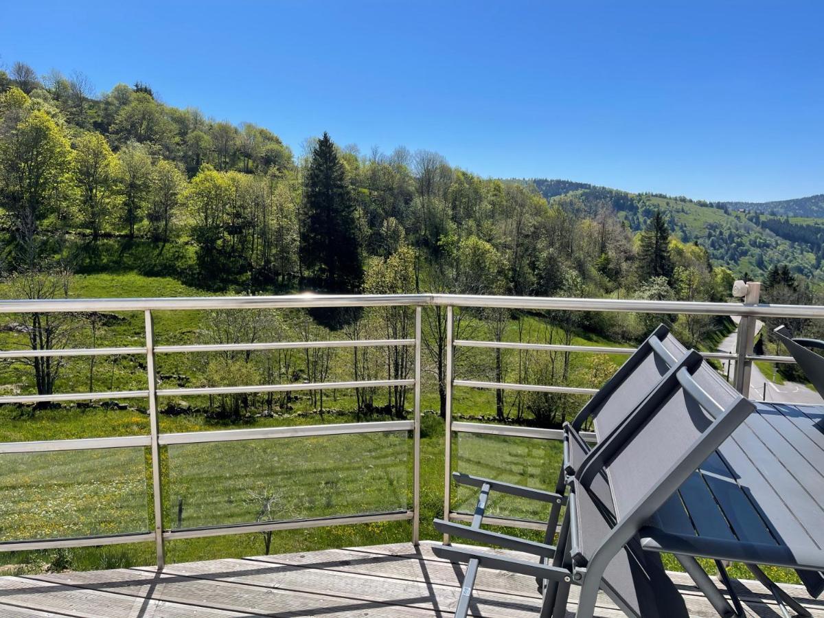 Apartamento Le Gite De Mon Grand Pere La Bresse Exterior foto